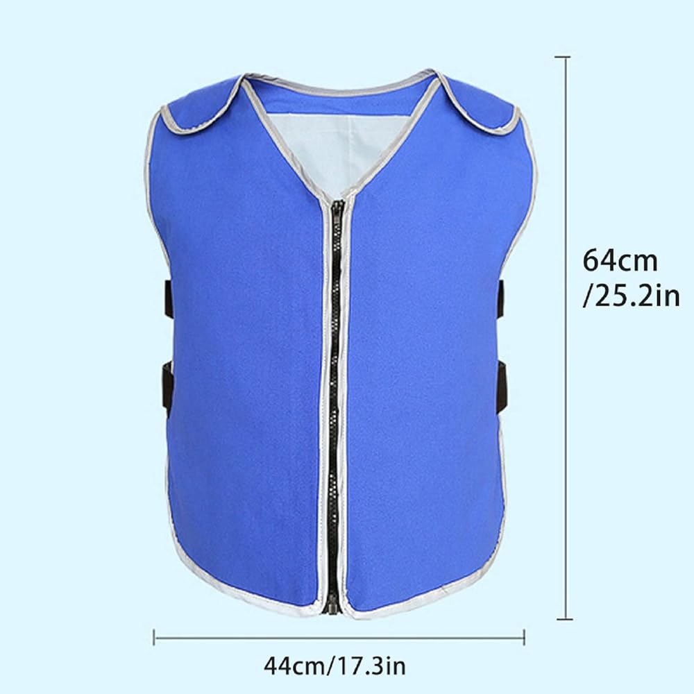 ⭐︎未使用⭐︎Ahisshu ICE WATER COOLING VEST PRO Ahissu／ICE WATER COOLING VEST PRO／脇つき - メルカリ